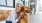 A senior hugging a dog outside our active adult apartments in Port St Lucie, FL, featuring a view of the apartment exteriors.